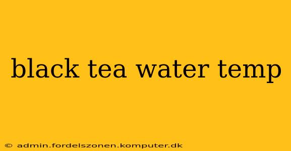black tea water temp