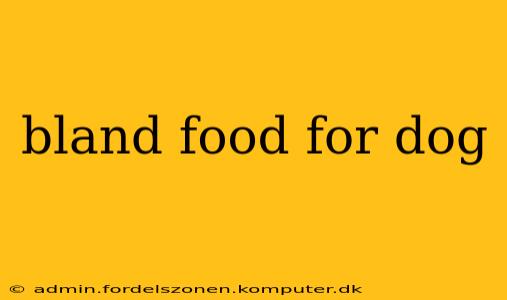 bland food for dog