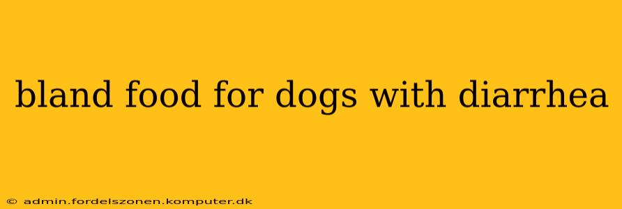 bland food for dogs with diarrhea