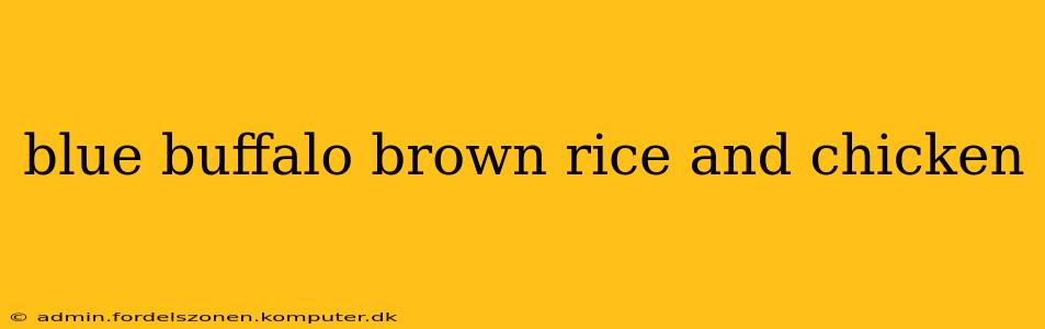 blue buffalo brown rice and chicken