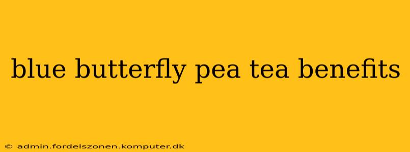 blue butterfly pea tea benefits