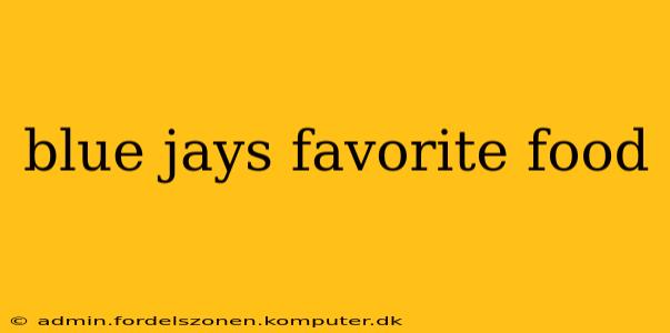 blue jays favorite food