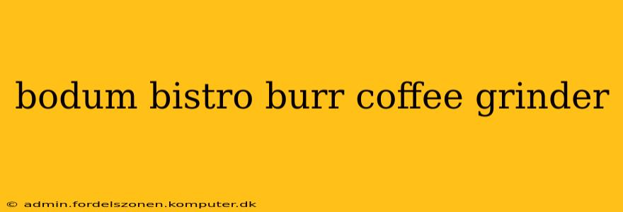bodum bistro burr coffee grinder
