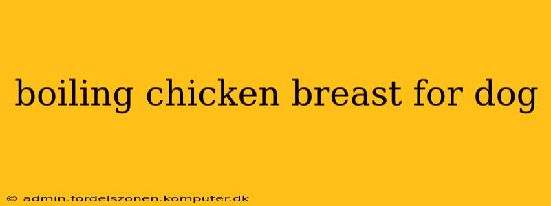 boiling chicken breast for dog
