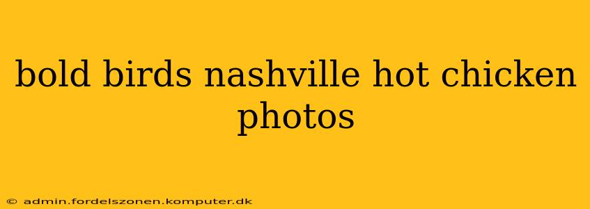 bold birds nashville hot chicken photos