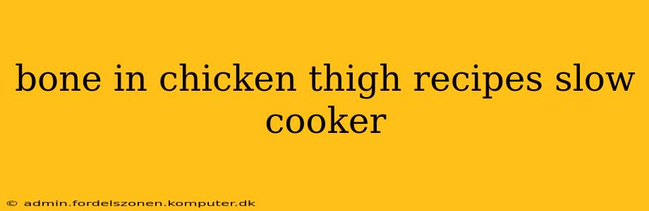 bone in chicken thigh recipes slow cooker