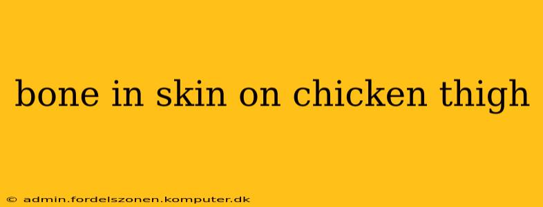 bone in skin on chicken thigh