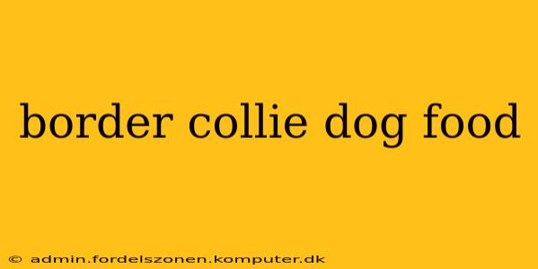 border collie dog food