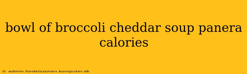 bowl of broccoli cheddar soup panera calories