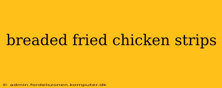 breaded fried chicken strips
