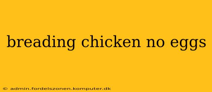 breading chicken no eggs