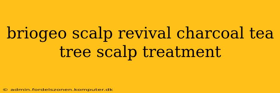 briogeo scalp revival charcoal tea tree scalp treatment