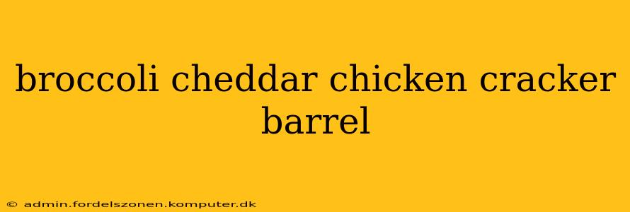 broccoli cheddar chicken cracker barrel