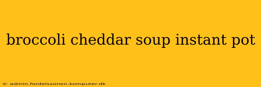 broccoli cheddar soup instant pot