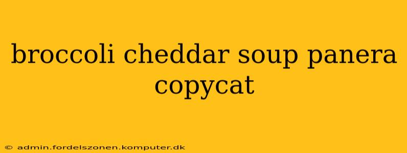 broccoli cheddar soup panera copycat