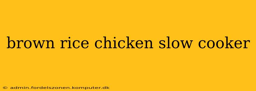 brown rice chicken slow cooker