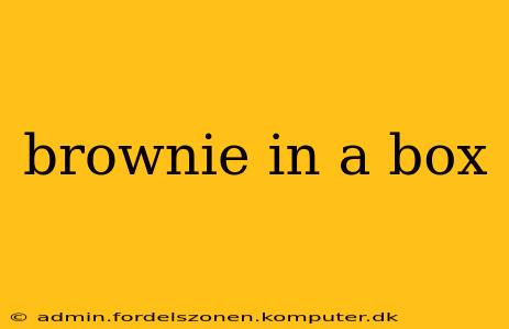 brownie in a box