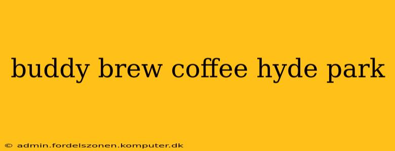 buddy brew coffee hyde park