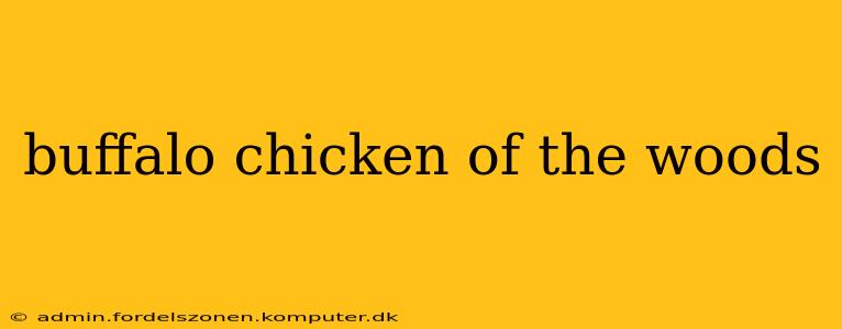 buffalo chicken of the woods