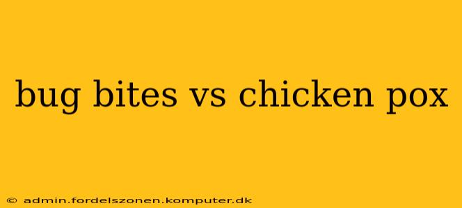 bug bites vs chicken pox