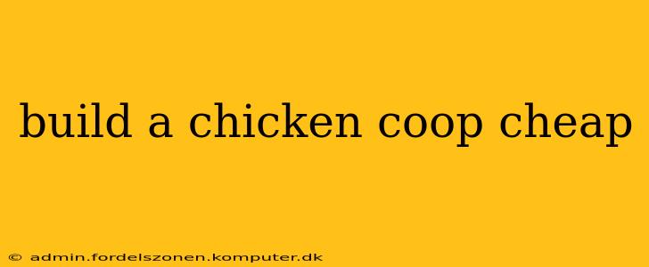 build a chicken coop cheap