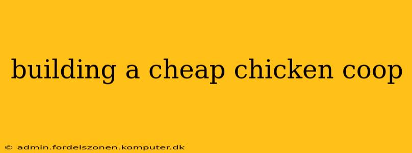 building a cheap chicken coop