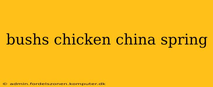 bushs chicken china spring