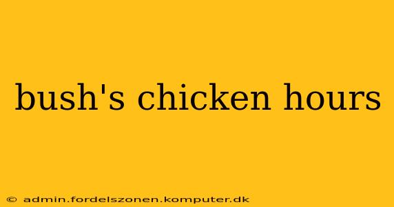 bush's chicken hours