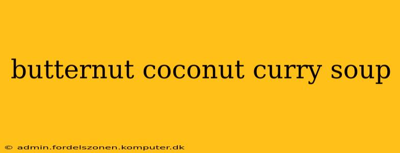 butternut coconut curry soup