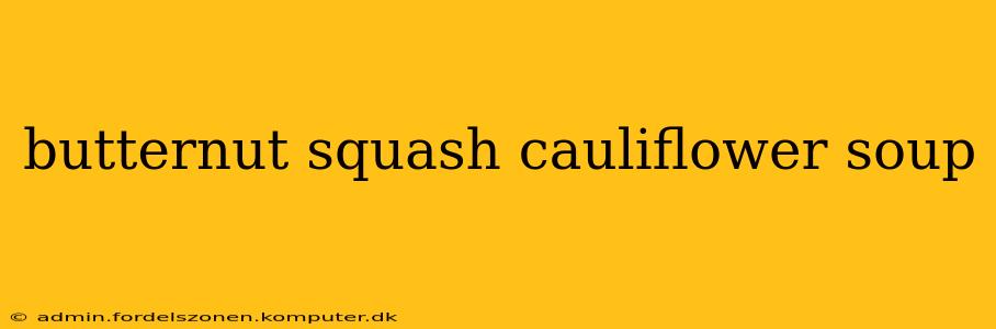 butternut squash cauliflower soup