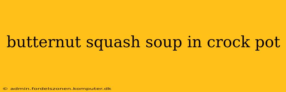 butternut squash soup in crock pot
