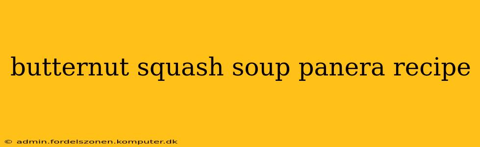 butternut squash soup panera recipe