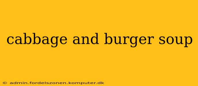 cabbage and burger soup