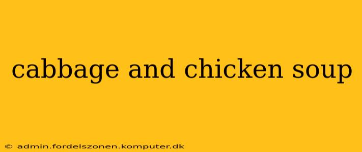 cabbage and chicken soup