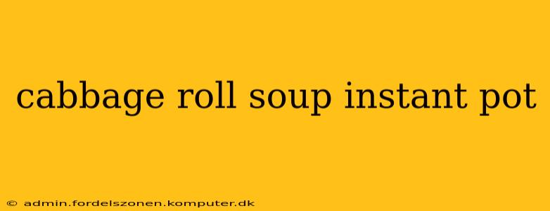 cabbage roll soup instant pot