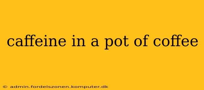 caffeine in a pot of coffee