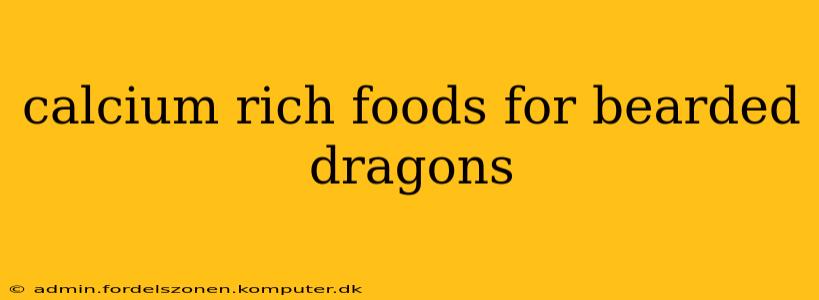 calcium rich foods for bearded dragons