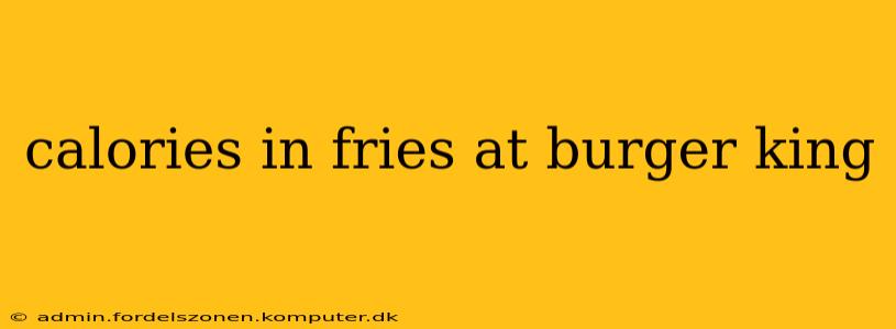 calories in fries at burger king