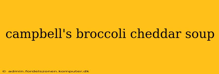 campbell's broccoli cheddar soup