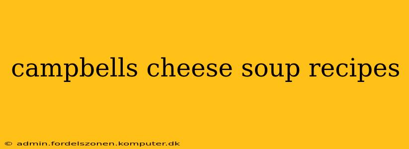campbells cheese soup recipes