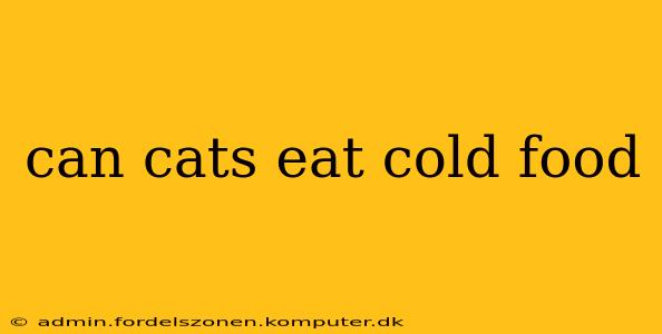can cats eat cold food