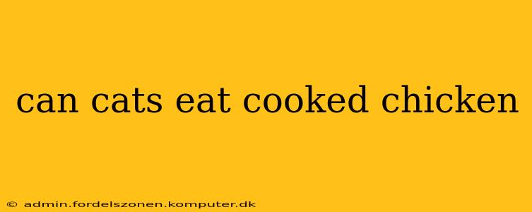can cats eat cooked chicken