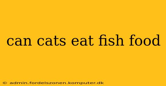 can cats eat fish food