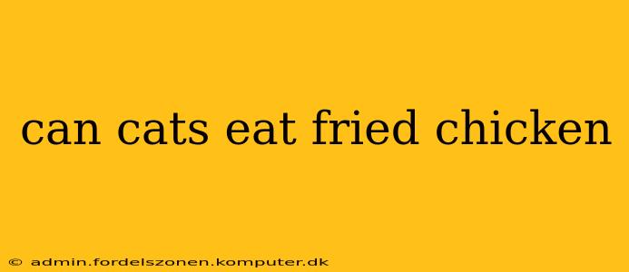 can cats eat fried chicken