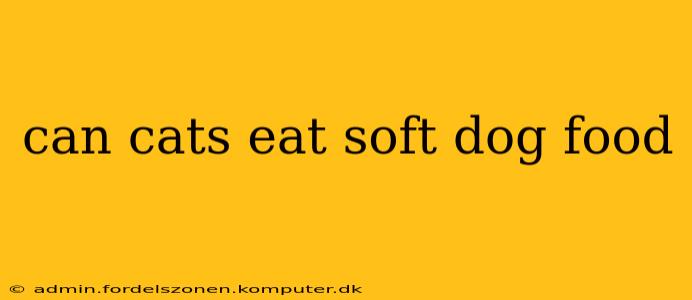 can cats eat soft dog food