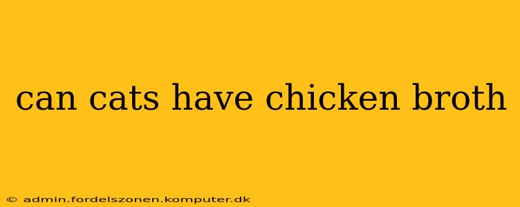 can cats have chicken broth