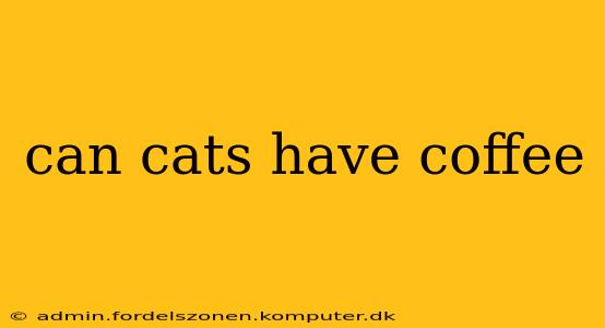 can cats have coffee