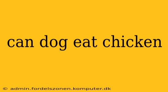 can dog eat chicken