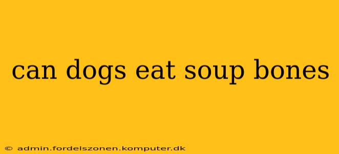 can dogs eat soup bones