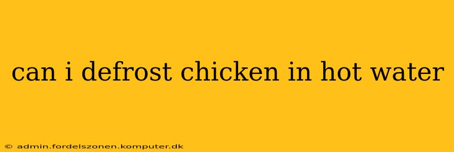 can i defrost chicken in hot water